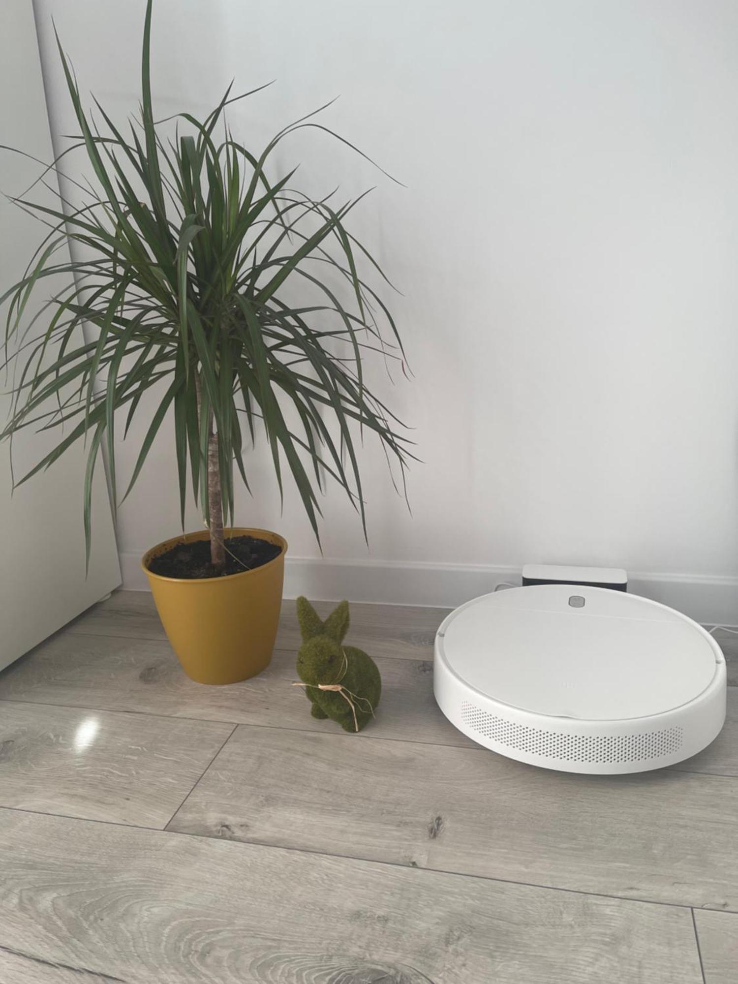 Nikifor Apartamenty Krynica-Zdroj 外观 照片